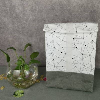 Rectangular Tyvek rugzak luier opslagzak geïsoleerde voedsel organisatie oplossing