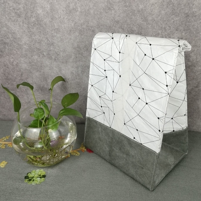 Rectangular Tyvek rugzak luier opslagzak geïsoleerde voedsel organisatie oplossing